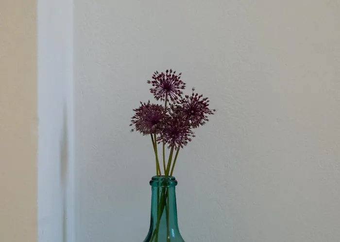 Appartement 'sophie's Villa'