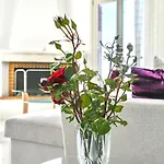 Appartement ‘sophie’s Villa’ Akrotiri (Naxos)