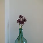 Apartment 'sophie's Villa'