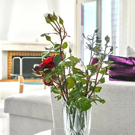 アパート 'sophie's Villa' アクロティリ