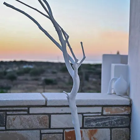 アパート 'sophie's Villa' アクロティリ