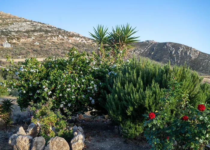 'sophie's Villa' 아파트 *